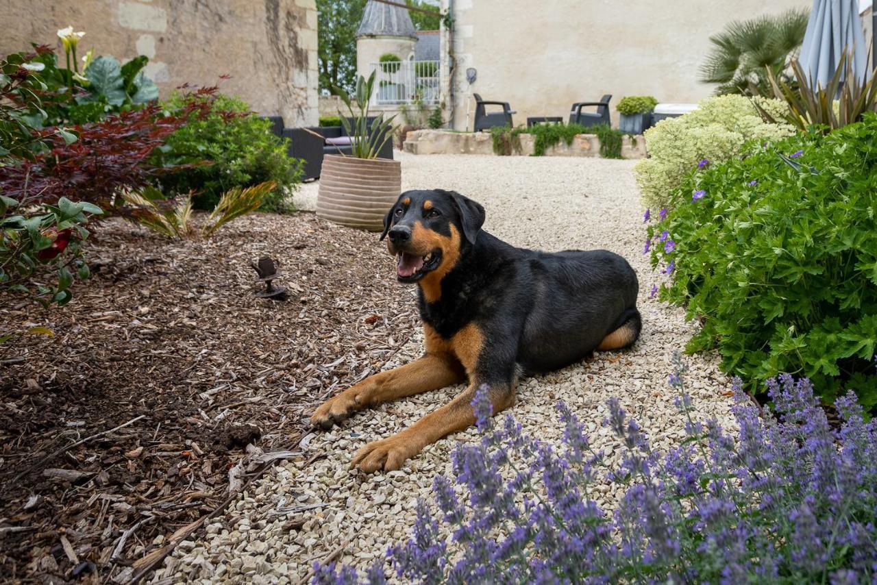 Manoir De La Mazeraie, Ideal Pour Le Teletravail จู เลส์ ทัวส์ ภายนอก รูปภาพ